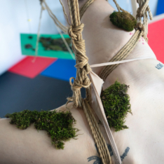 2-dasniya-sommer-Haus-Sommer-werner-amann-eliko-shibari-bondage-Berlin-art-installation-stage-moos-dance-experimental-iman.rhv