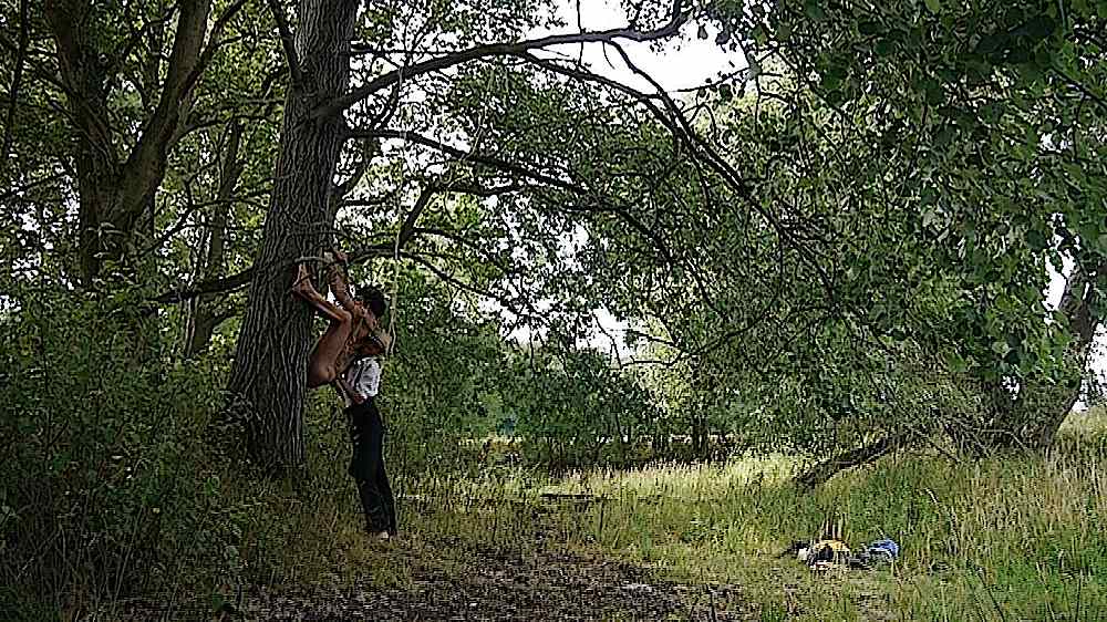 outdoor japanese shibari 